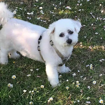 La Tua Casa A Rastignano * Carteria di Sesto Rastignano