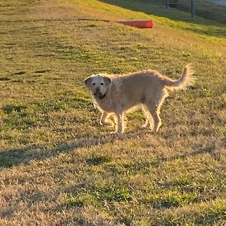 La Tua Casa A Rastignano Appartement *