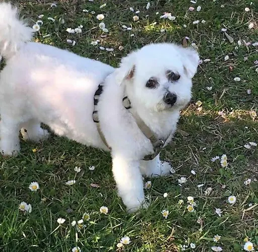 La Tua Casa A Rastignano * Carteria di Sesto Rastignano