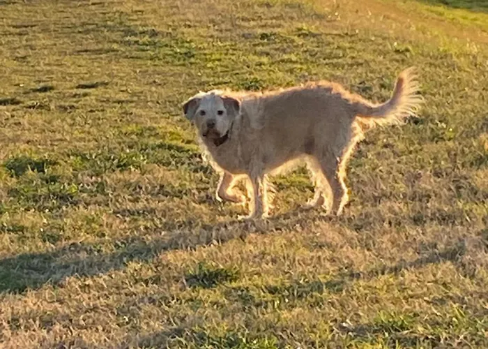 La Tua Casa A Rastignano Apartamento *